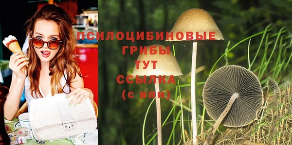 винт Абаза