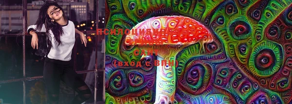 ПСИЛОЦИБИНОВЫЕ ГРИБЫ Абдулино