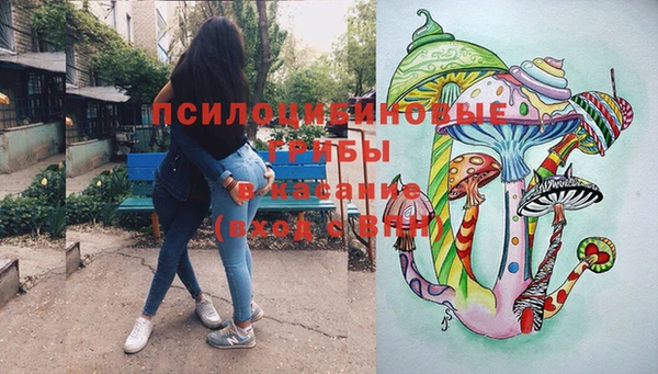 ПСИЛОЦИБИНОВЫЕ ГРИБЫ Абдулино