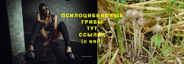 таблы Покровск