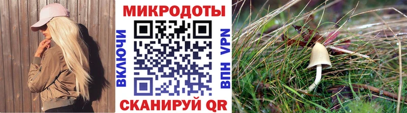 ссылка на мегу рабочий сайт  Усмань  Галлюциногенные грибы Psilocybine cubensis 